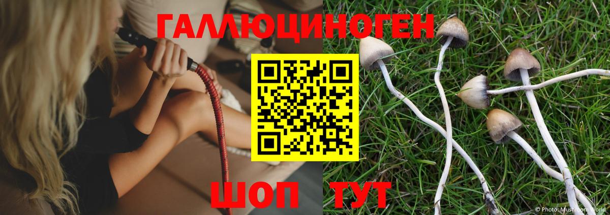 Псилоцибиновые грибы MAGIC MUSHROOMS Еманжелинск